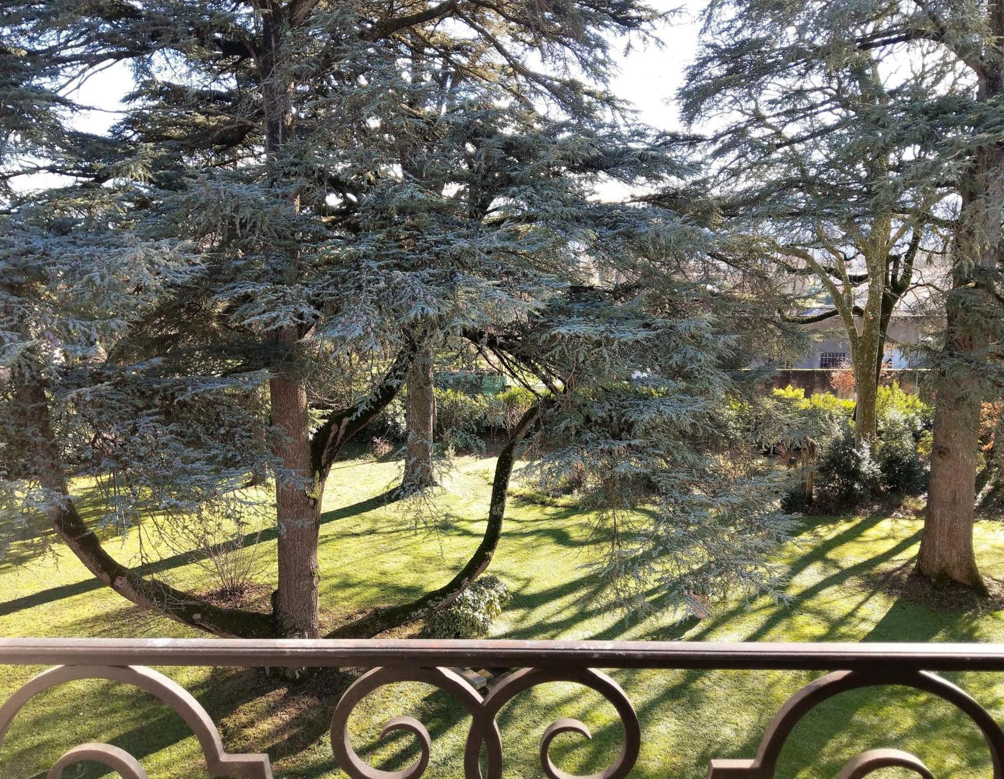 Maison D'Hotes Le Parc Labruguière 部屋 写真